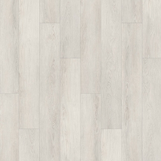 Picture of Palmetto Road - Velocity Oasis