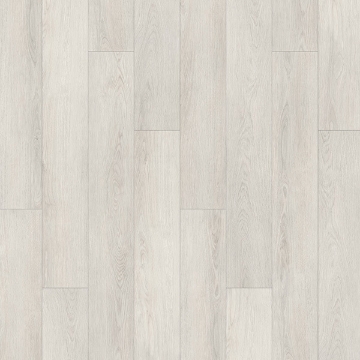 Picture of Palmetto Road - Journey Oasis