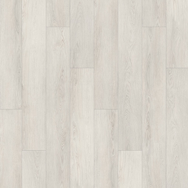 Picture of Palmetto Road - Journey Oasis