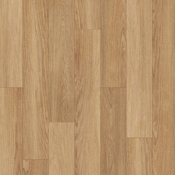 Picture of Palmetto Road - Journey Desert