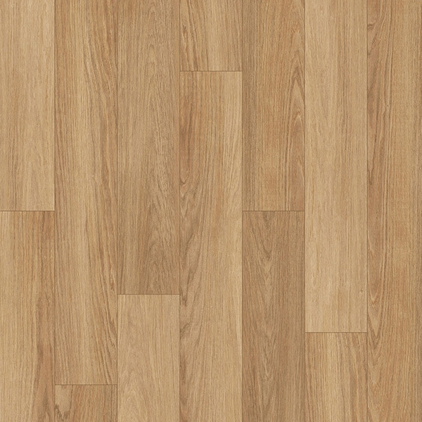 Picture of Palmetto Road - Journey Desert