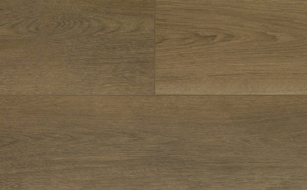 Picture of Audacity - Liberty Moab