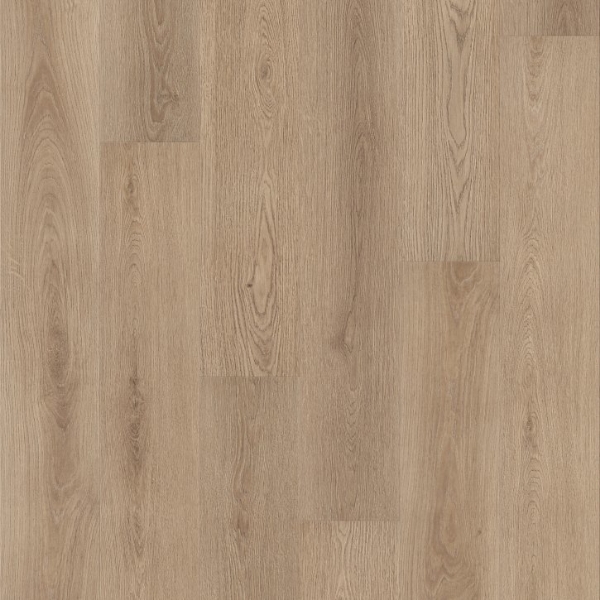 Picture of Shaw Builder - Supino HD Plus Natural Bevel Ponder