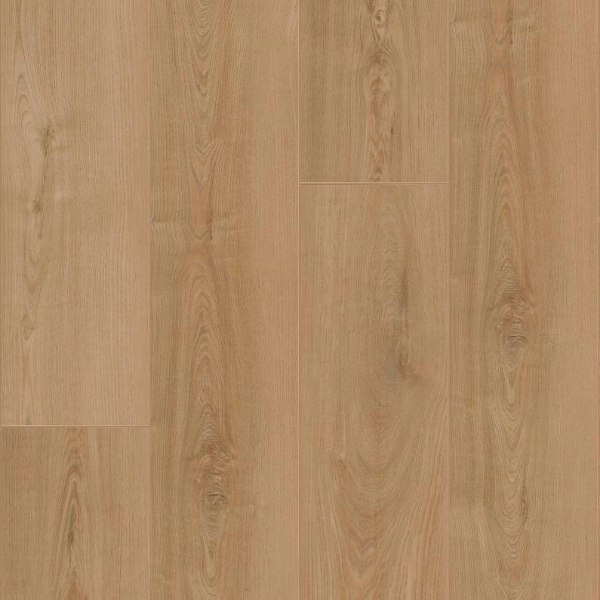 Picture of Shaw Builder - Colossus HD Plus Antique Chestnut