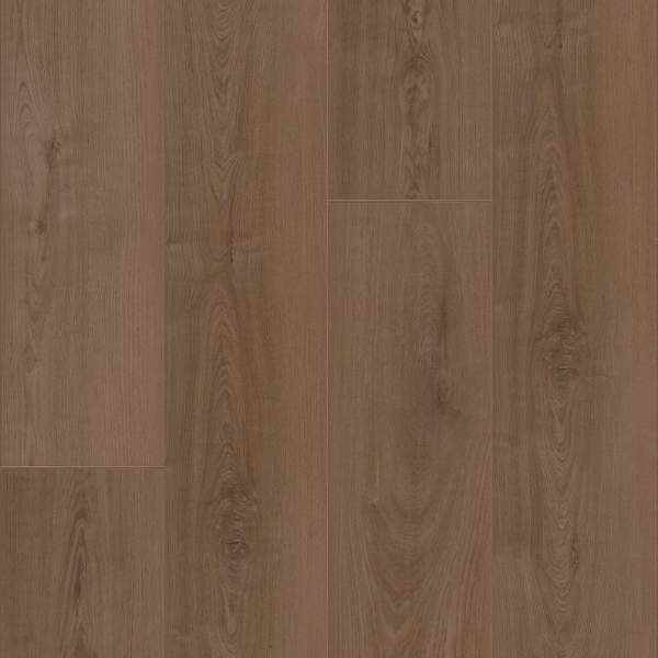 Picture of Shaw Builder - Colossus HD Plus Aged Saddle