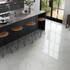 Picture of Emser Tile - Vara 24 x 24 Polished Ribia