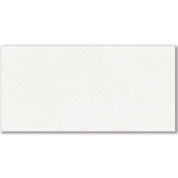 Picture of American Wonder Porcelain - Mars Stone II 24 x 48 Matte White Dune