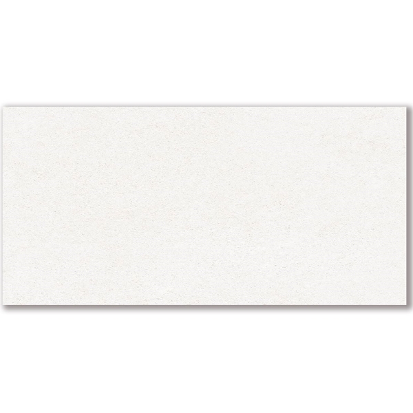 Picture of American Wonder Porcelain - Mars Stone II 24 x 48 Polished White Dune