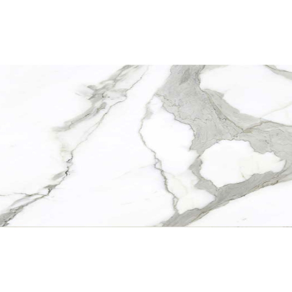 Picture of American Wonder Porcelain - Preeminent II 24 x 48 Polished White