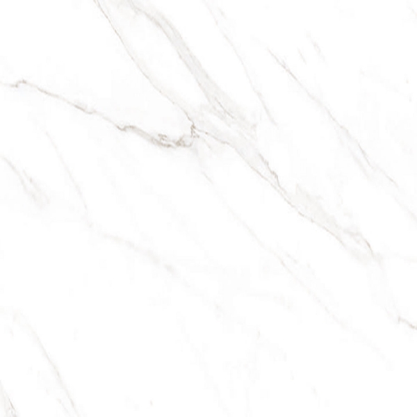 Picture of American Wonder Porcelain - Sherron 24 x 24 Matte White