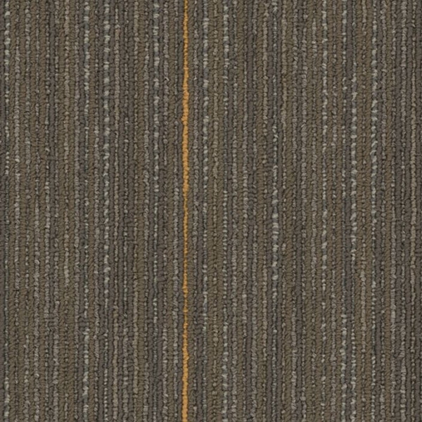 Picture of Joy - On Demand Higher Calling Formative