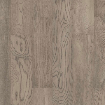 Picture of Shaw Builder - Citadel Baroness