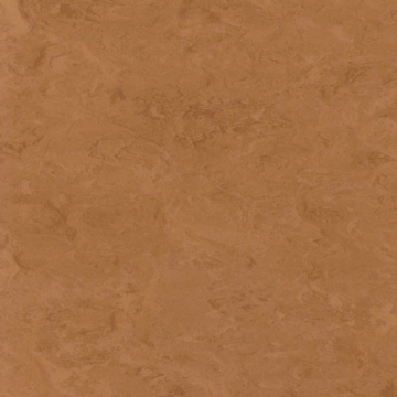 Picture of Toli International - Fasolplus Caramel