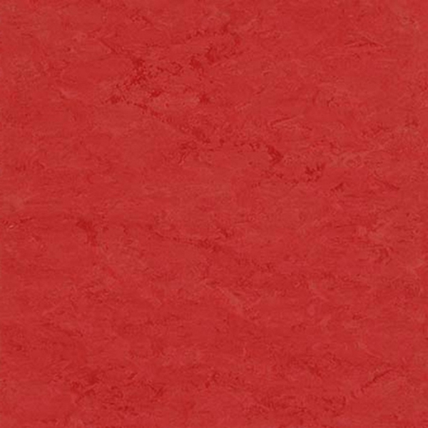 Picture of Toli International - Fasolplus Koi