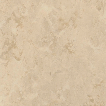 Picture of Toli International - Fasolplus Latte