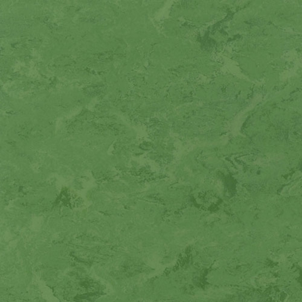 Picture of Toli International - Fasolplus Leaf