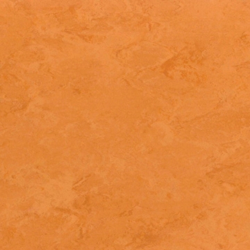 Picture of Toli International - Fasolplus Pumpkin