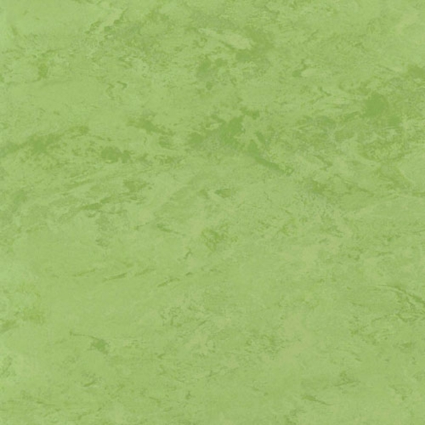 Picture of Toli International - Fasolplus Spring