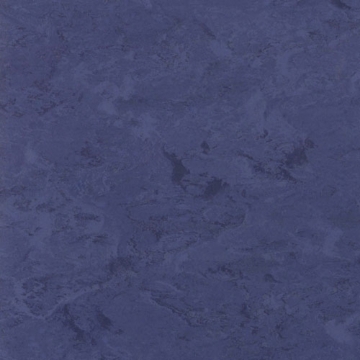 Picture of Toli International - Fasolplus Twilight