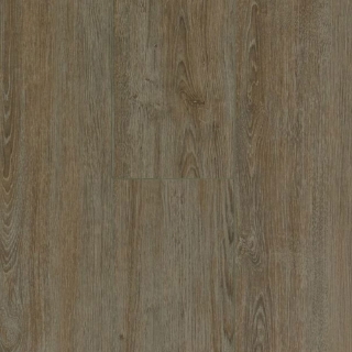 Picture of Bruce - LifeSeal Classic Plus Shady Cove