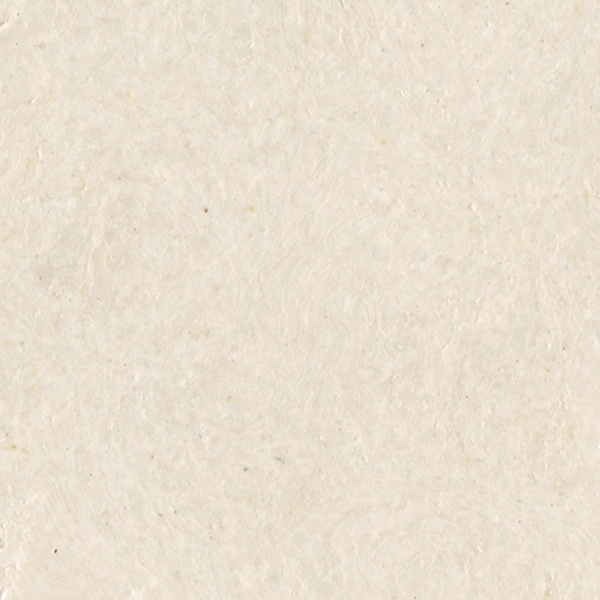 Picture of Globus Cork - Nugget Texture 9 x 18 Mist