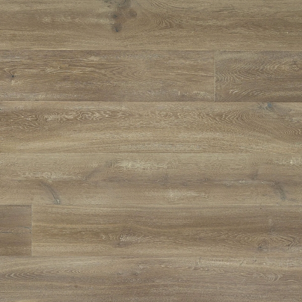 Picture of Monarch Plank - Domaine II Allier