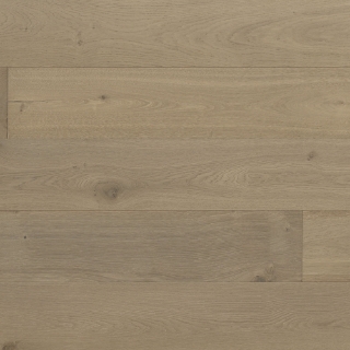 Picture of Monarch Plank - Tableau Renoir