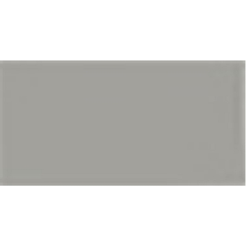 Picture of Tesoro - Soho 3 x 6 Glossy Cement Chic