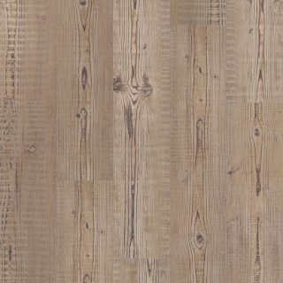 Picture of Philadelphia Commercial by Shaw - Ardent Accent Pine