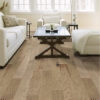 Picture of Shaw Floors - High Plains 5 Sumac