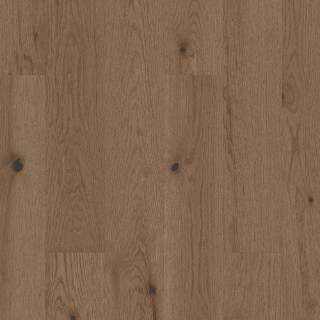 Picture of Shaw Floors - Exploration Oak Canyon