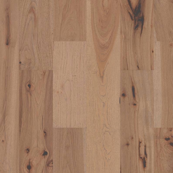 Picture of Shaw Floors - Inspirations Hickory Luminous