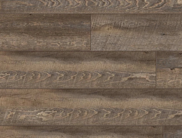 Picture of Republic - Cliffs XL American Elm