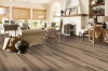 Picture of Bruce - Dundee Plank 3 1/4 Low Gloss Inviting Warmth