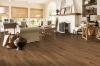 Picture of Bruce - Dundee Wide Plank 5 Low Gloss Natural