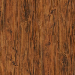 Picture of Durato - V-Evo Max Blenheim