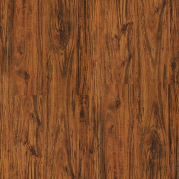 Picture of Durato - V-Evo Max Blenheim