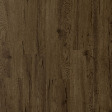 Picture of Durato - V-Evo Max Wentworth