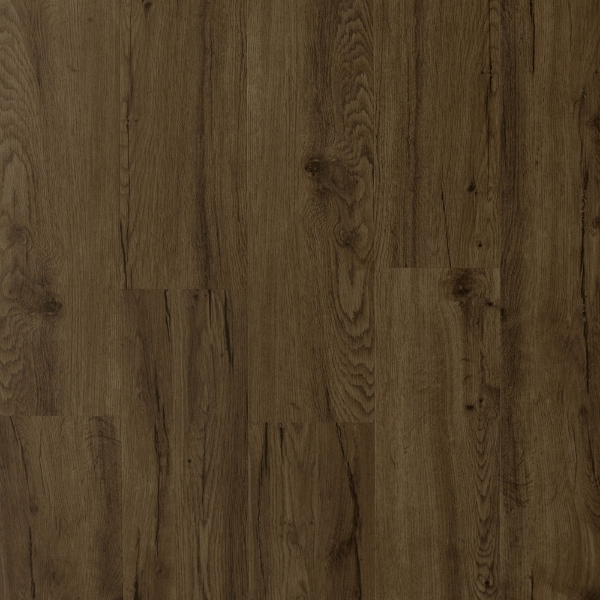 Picture of Durato - V-Evo Max Wentworth