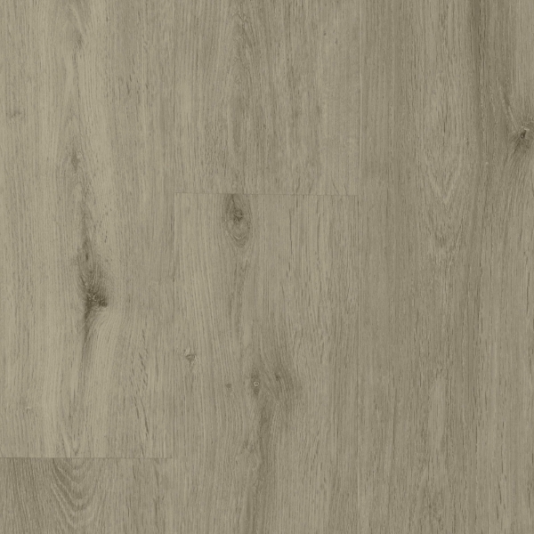 Picture of Durato - V-Evo Max Baymont