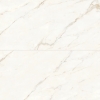 Picture of Bedrosians - Magnifica Calacatta Oro 24 x 48 Calacatta Oro/Polished