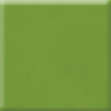 Picture of Daltile - Natural Hues 12 x 12 Fern