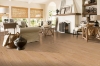 Picture of Bruce - Dundee Wide Plank 5 Low Gloss Tawny Beach