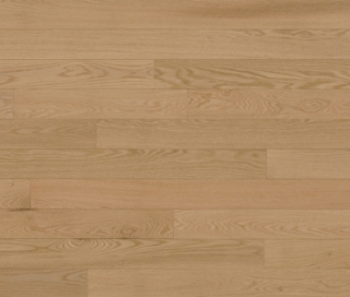 Picture of Lauzon - North American Red Oak 5 Flora