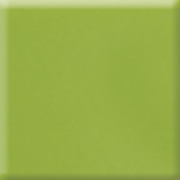 Picture of Daltile - Natural Hues 4 x 8 Kiwi