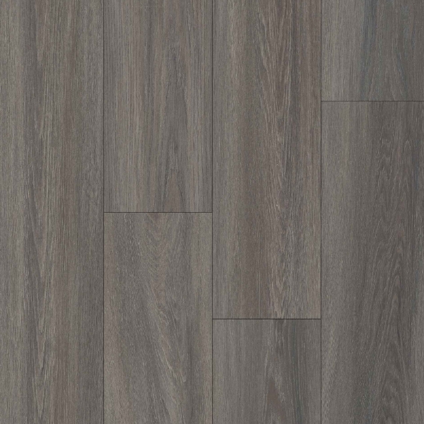 Picture of Happy Feet Intl. - Pinnacle York