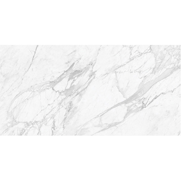 Picture of Anatolia Tile & Stone - La Marca 24 x 48 Statuarietto Honed