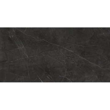 Picture of Anatolia Tile & Stone - La Marca 24 x 48 Nero Venato Honed