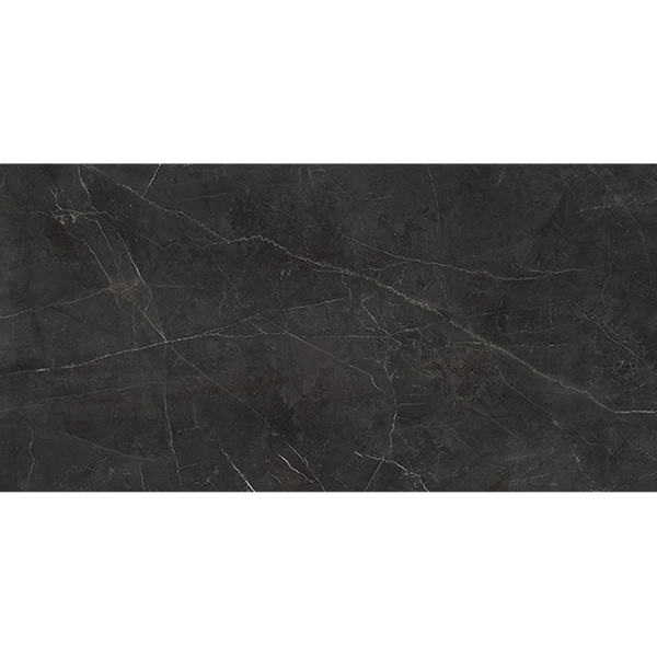 Picture of Anatolia Tile & Stone - La Marca 24 x 48 Nero Venato Honed