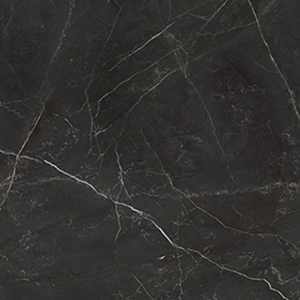 Picture of Anatolia Tile & Stone - La Marca 24 x 24 Nero Venato Polished